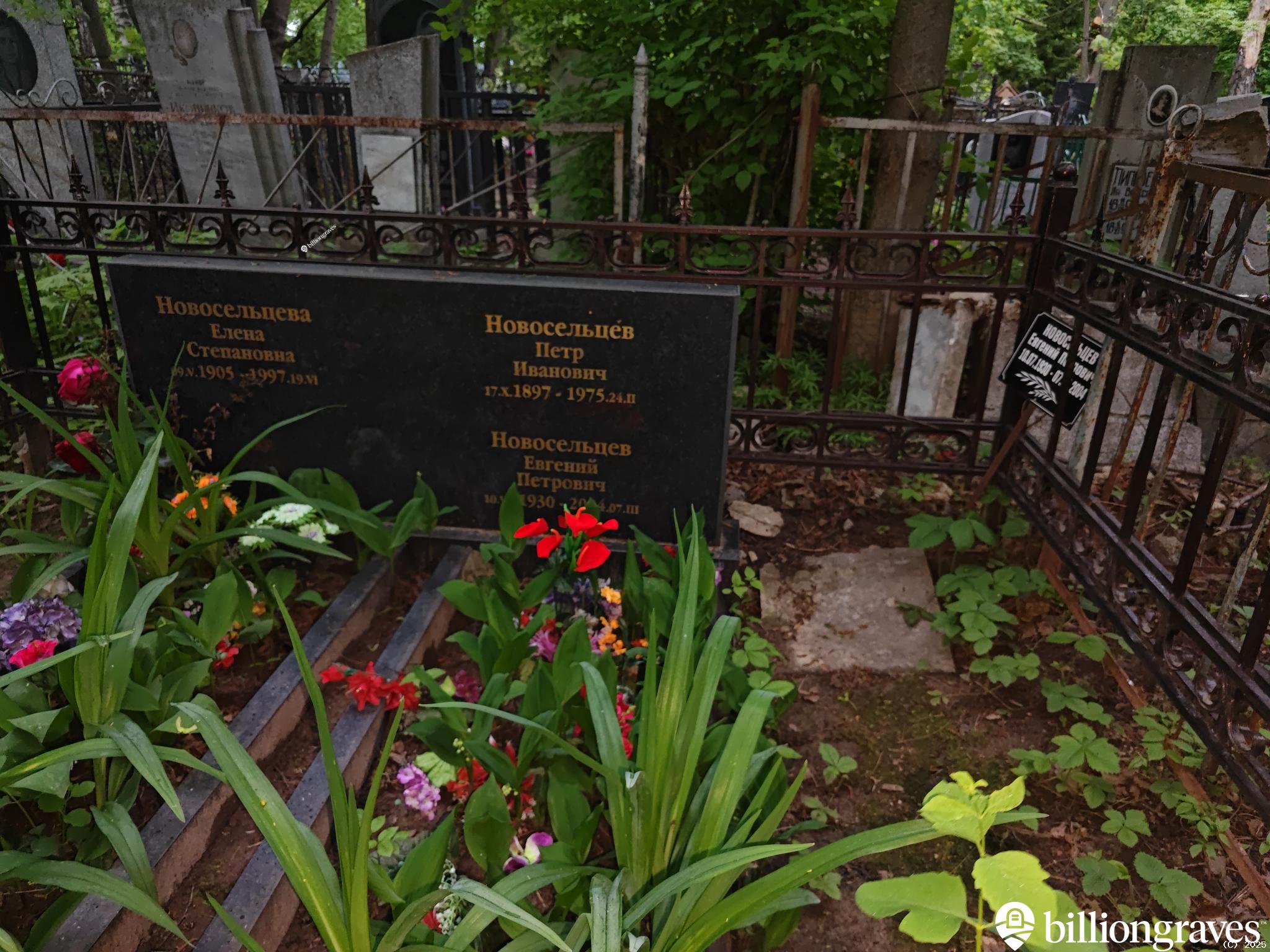 Новосельцева Елена Степановна