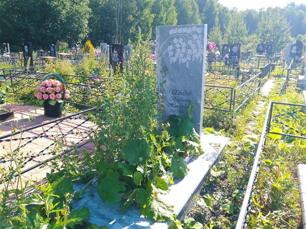 Шведов Владимир Николаевич