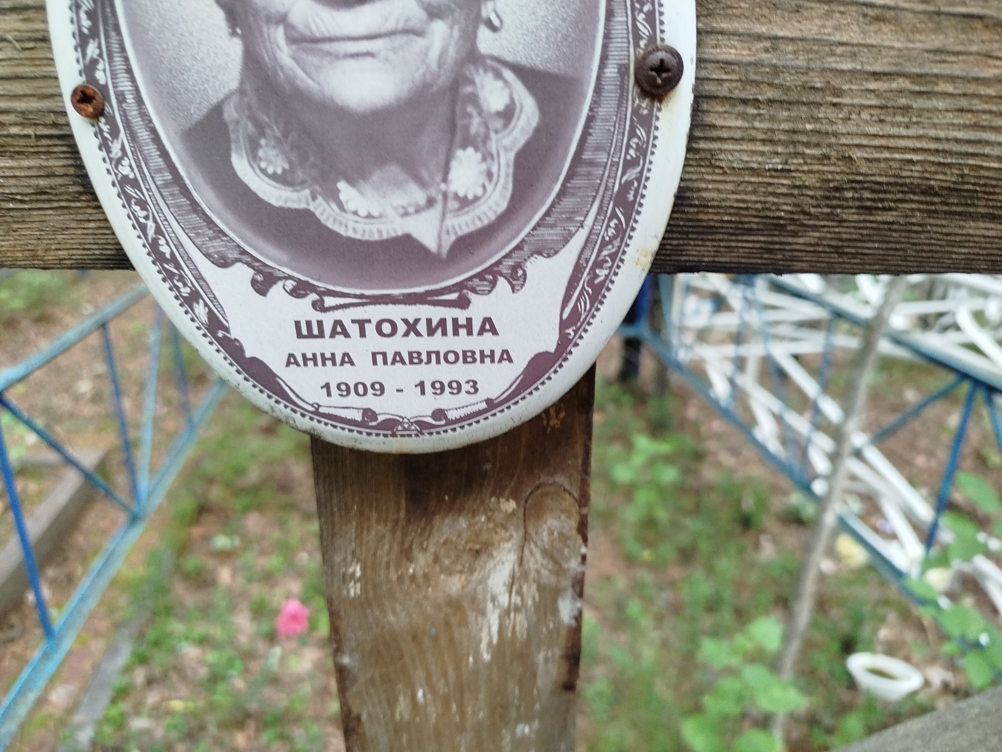 Шатохина Анна Павловна