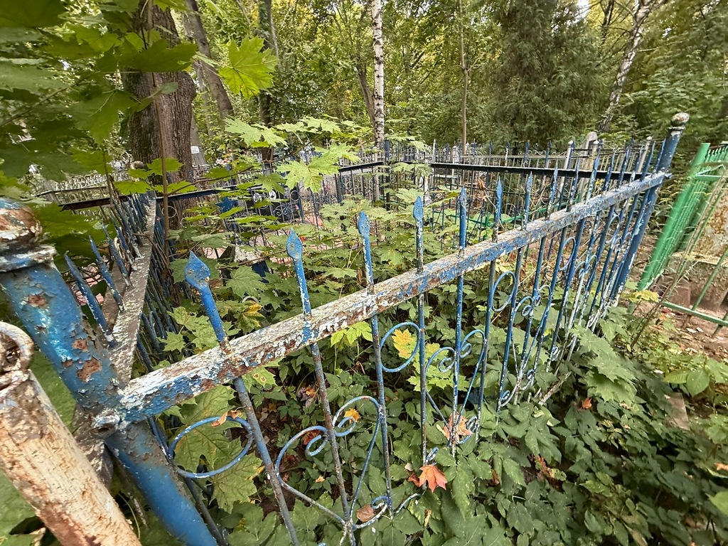 Толченова Александра Алексеевна