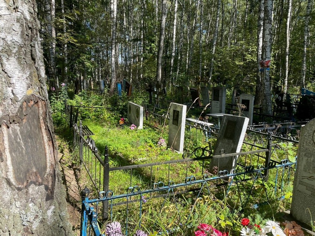 Шишов Николай Михайлович
