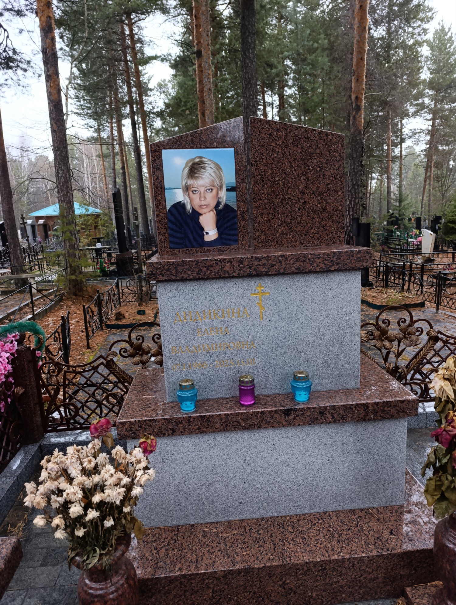 Дидикина Елена Владимировна