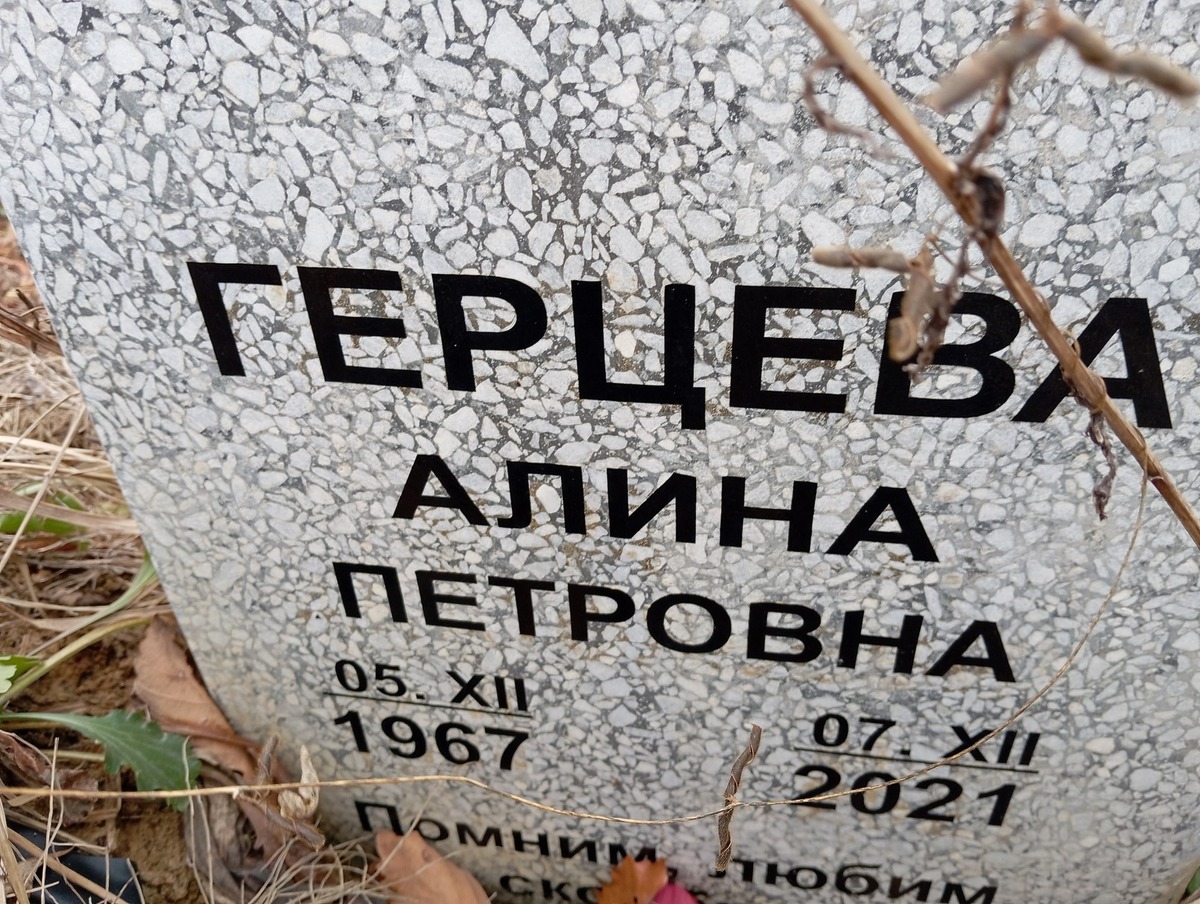 Герцева Алина Петровна