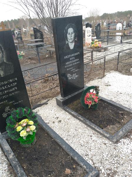 Андранович Александр Петрович