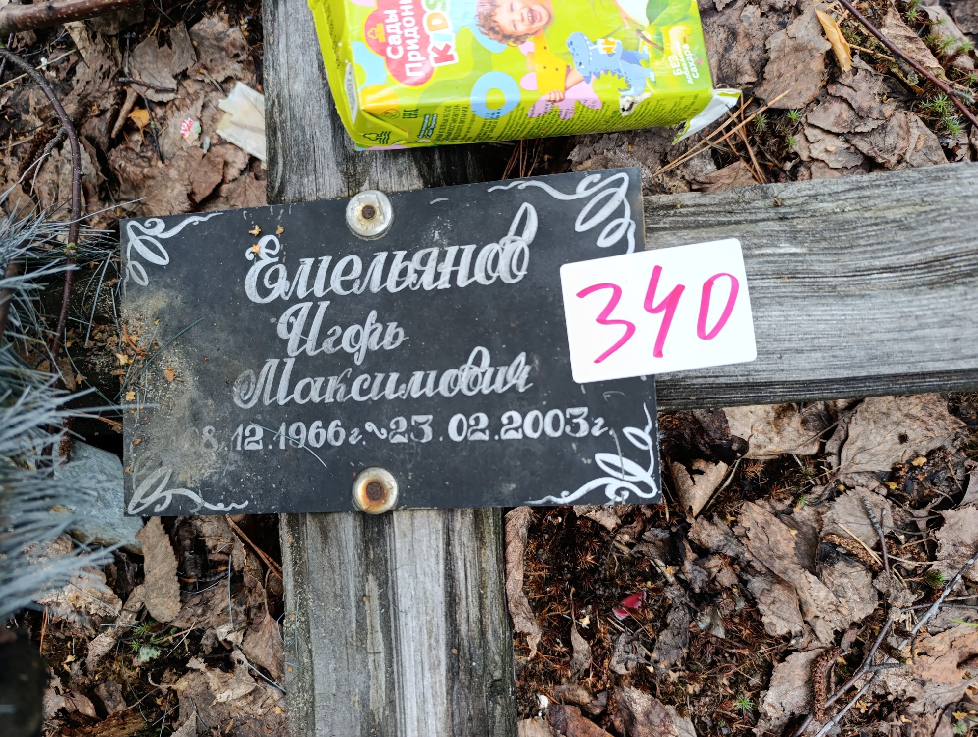 Емельянов Игорь Максимович