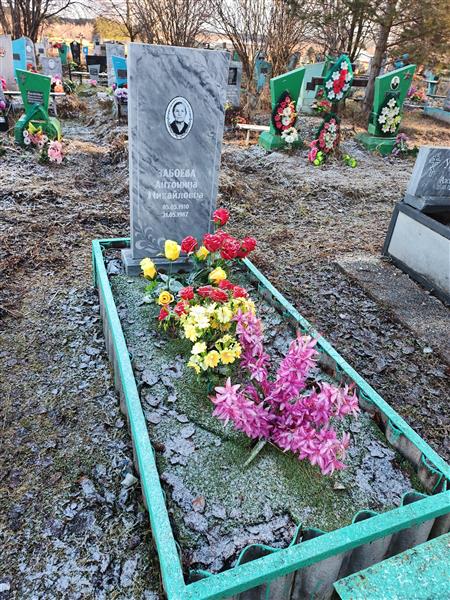 Затоева Антонина Михайловна