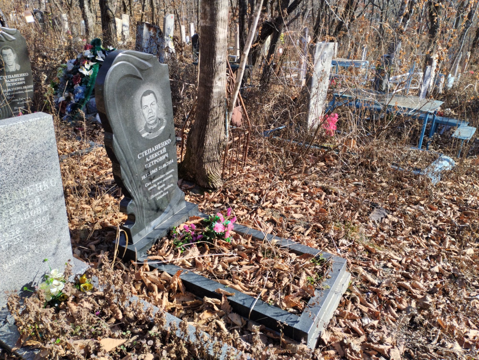 Степаненко Алексей Петрович