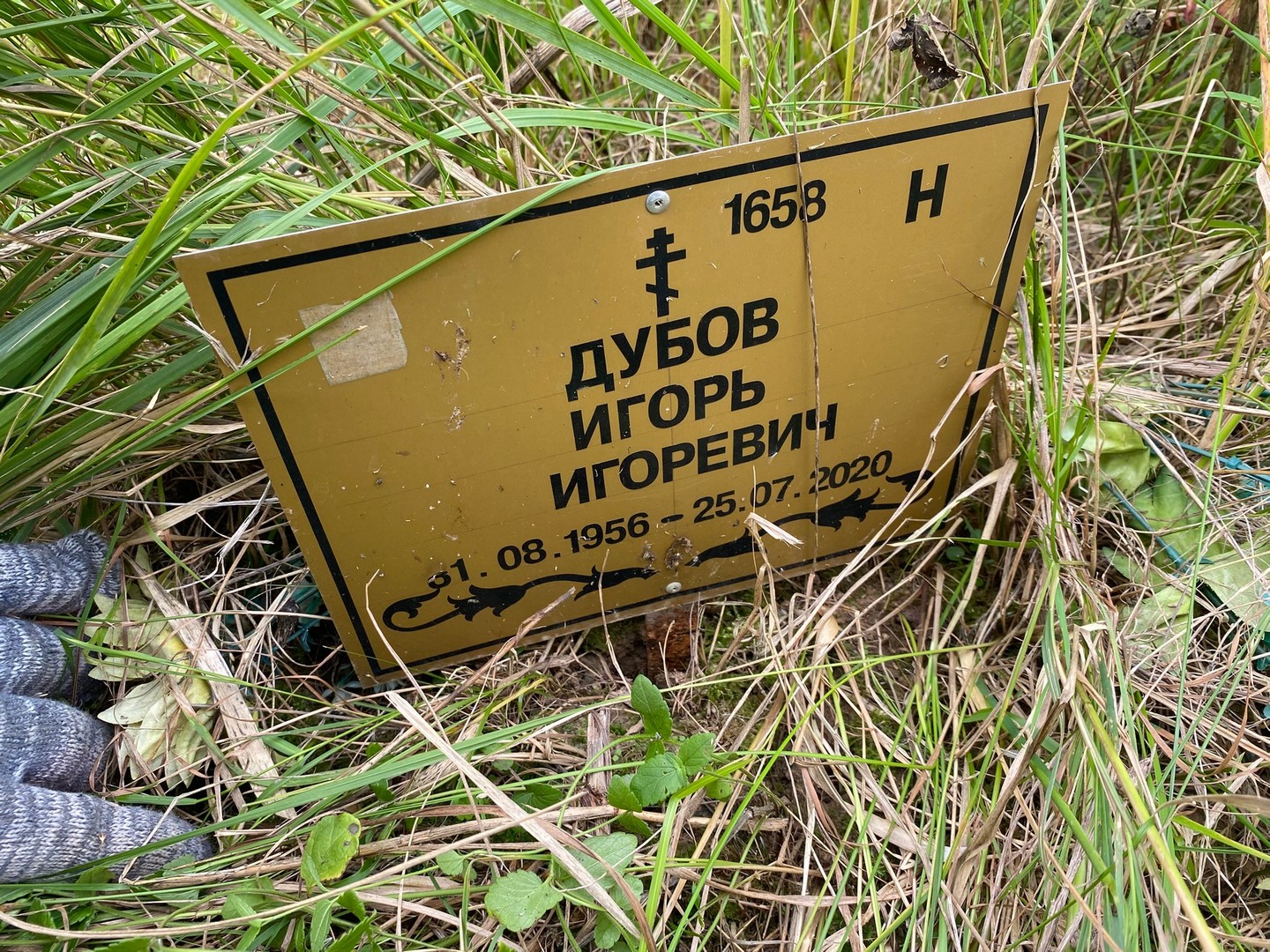 Дубов