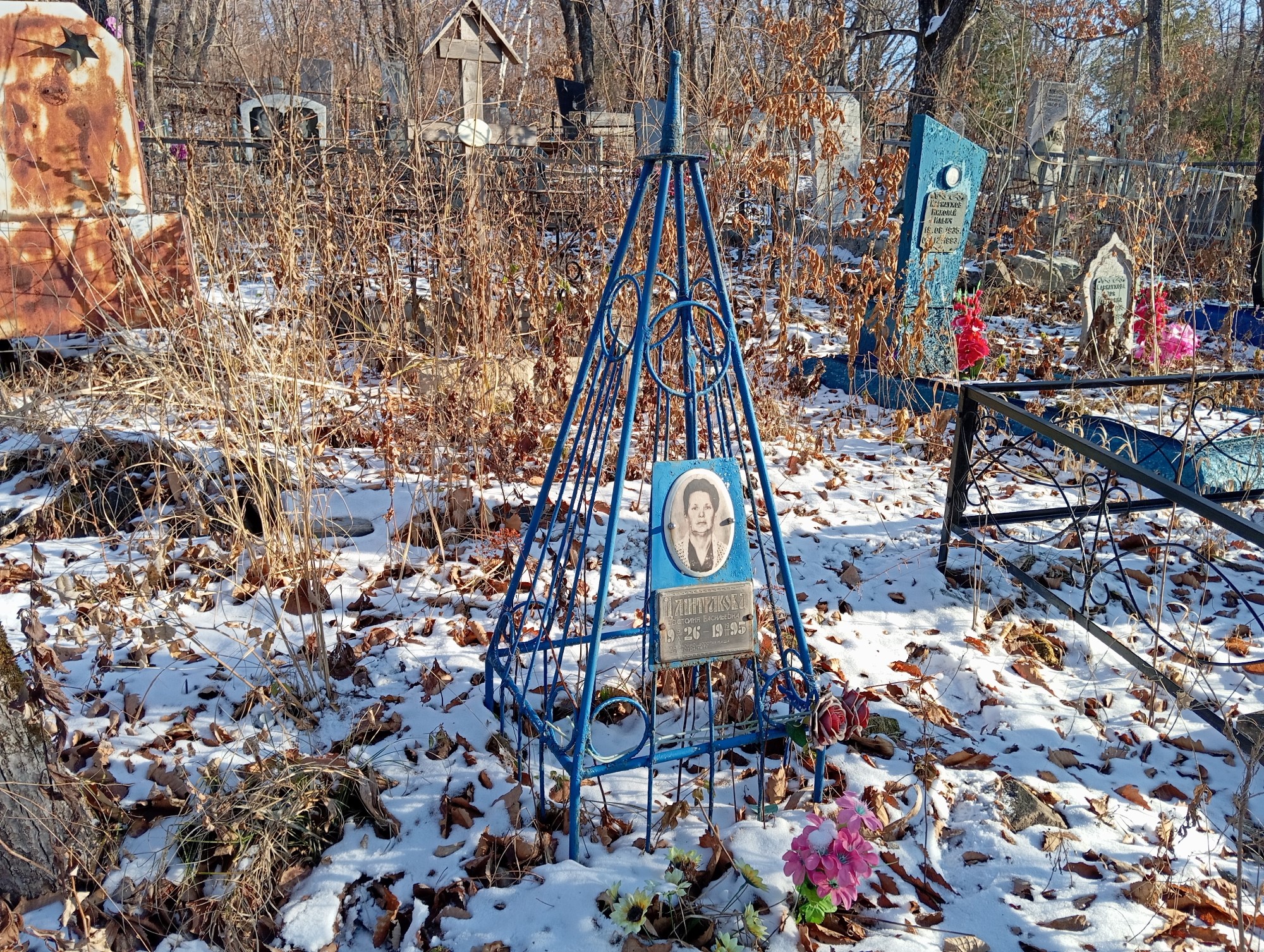 Дмитракова Евстолия Васильевна
