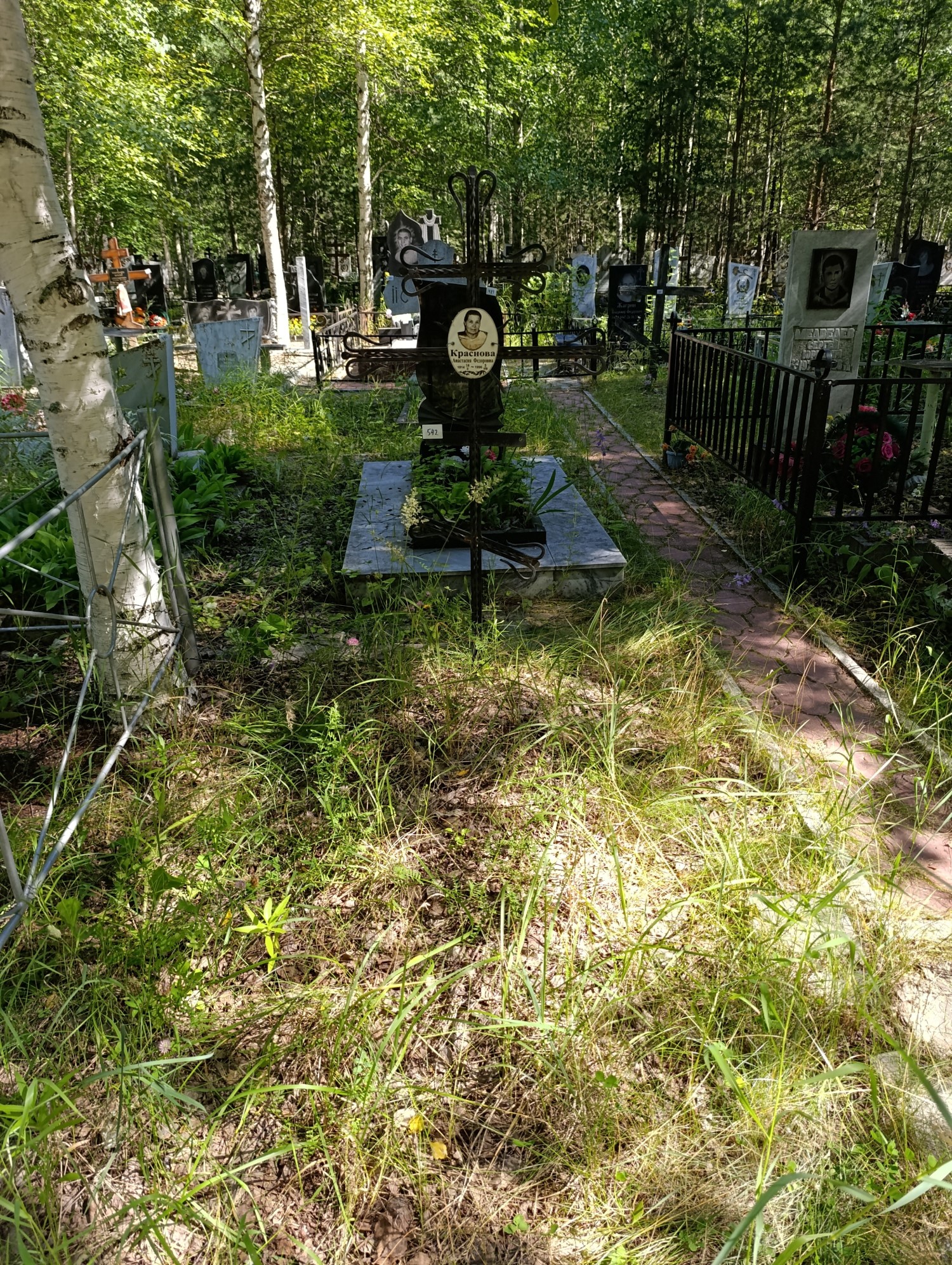 Краснова Анастасия Федоровна