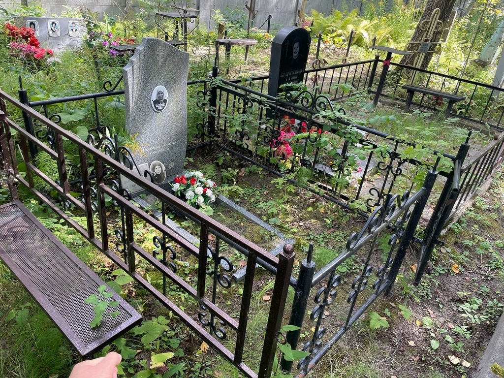 Илларионова Дарья Васильевна