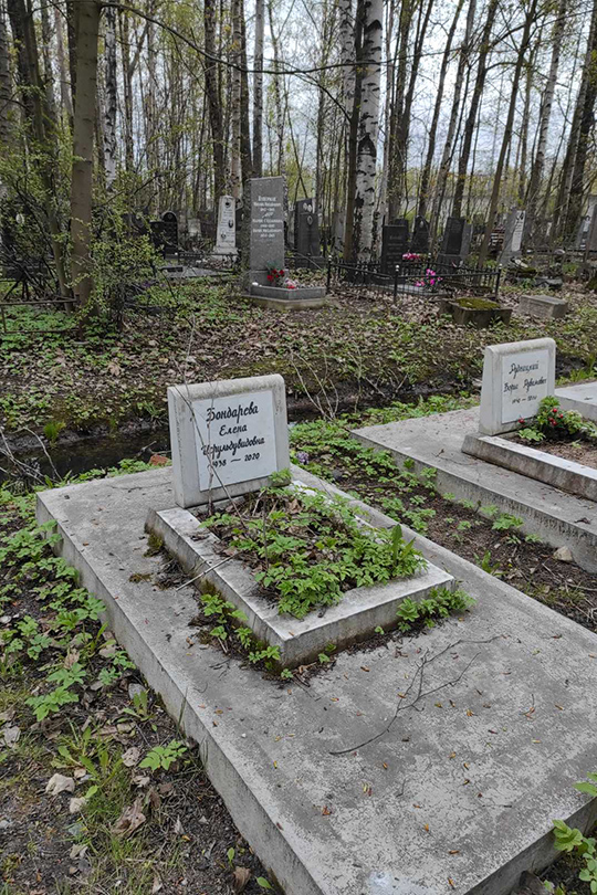 Бондарева Елена Исрульдувидовна