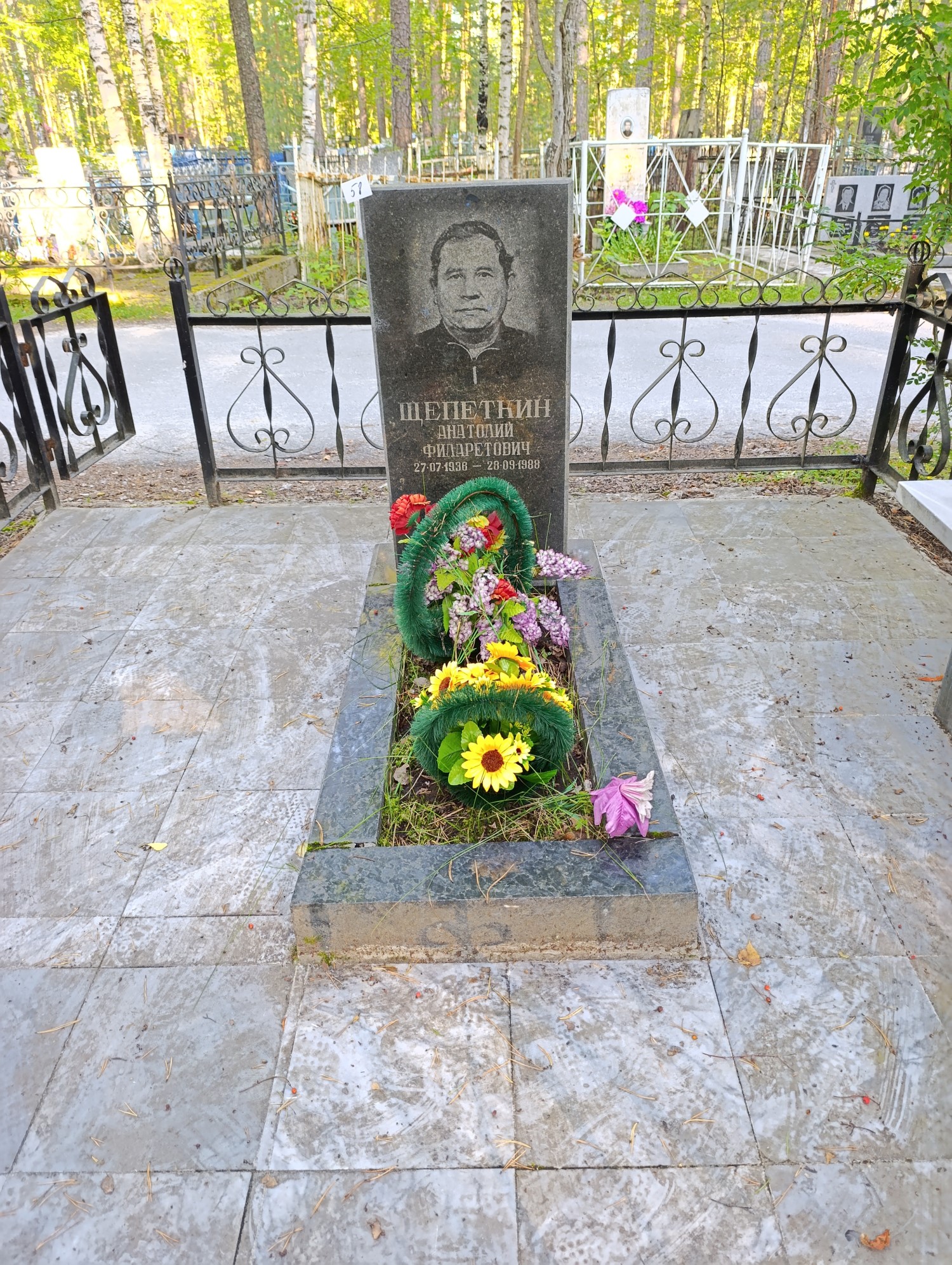 Щепеткин Анатолий Филаретович