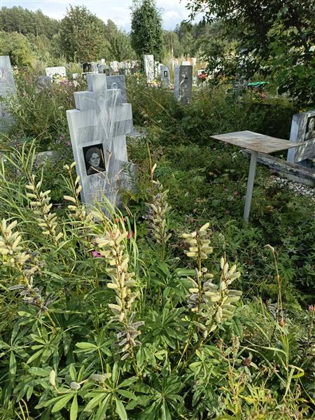 Костромина Надежда Петровна