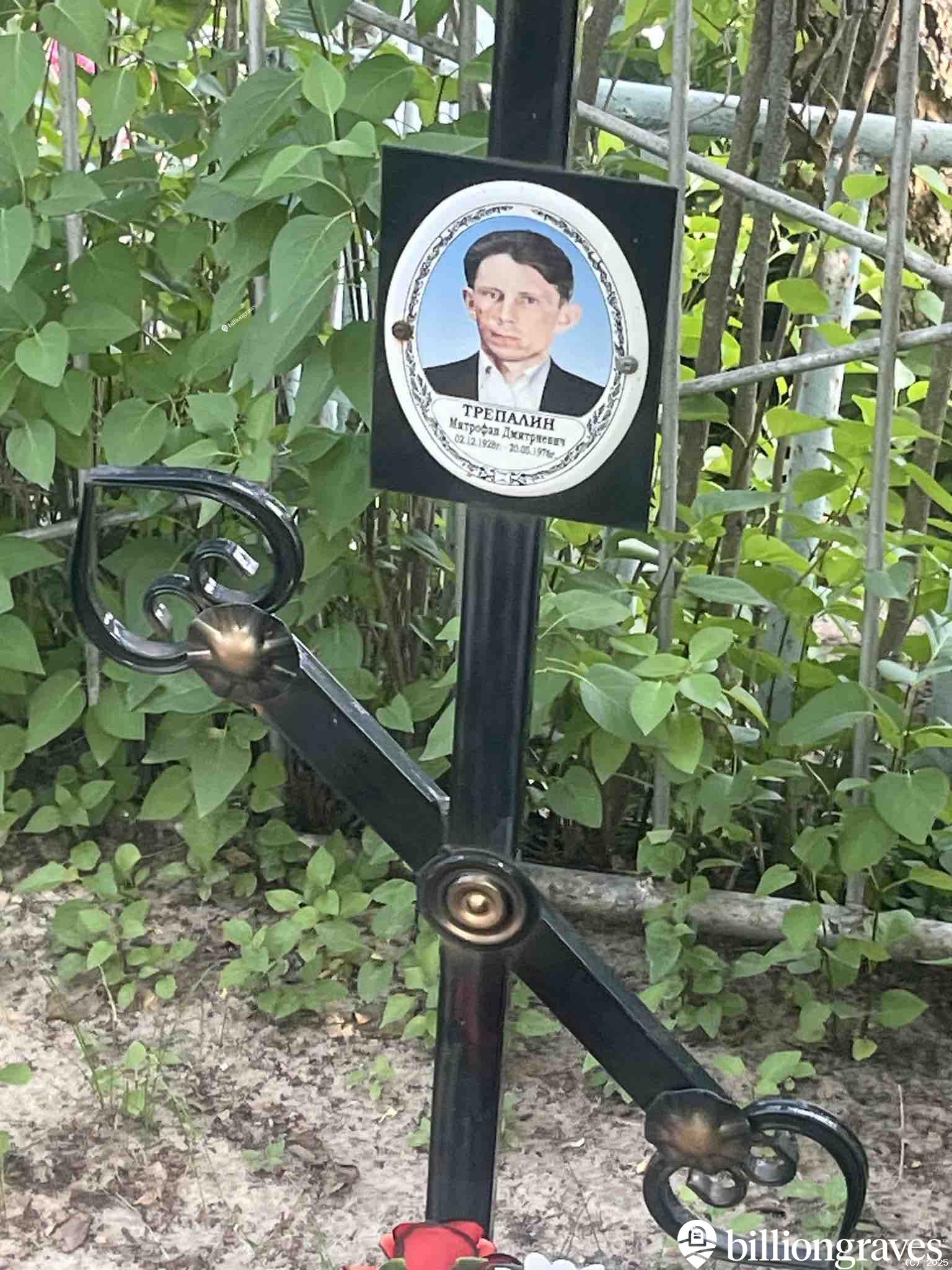 Трепалин Митрофан Палович
