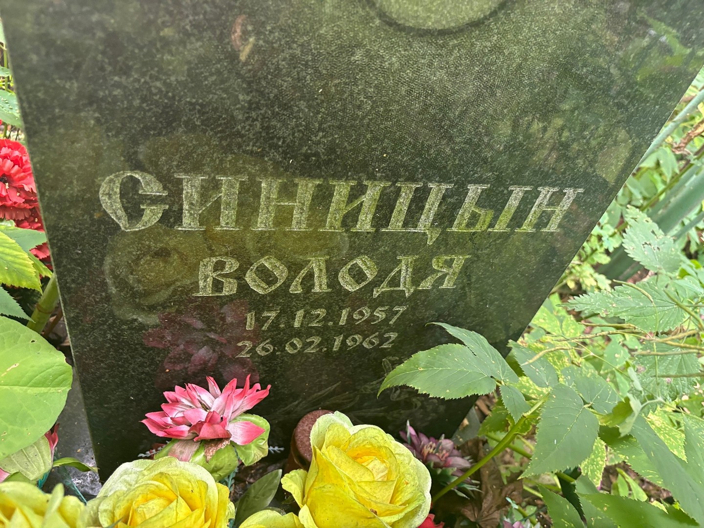 Синицын Синицын