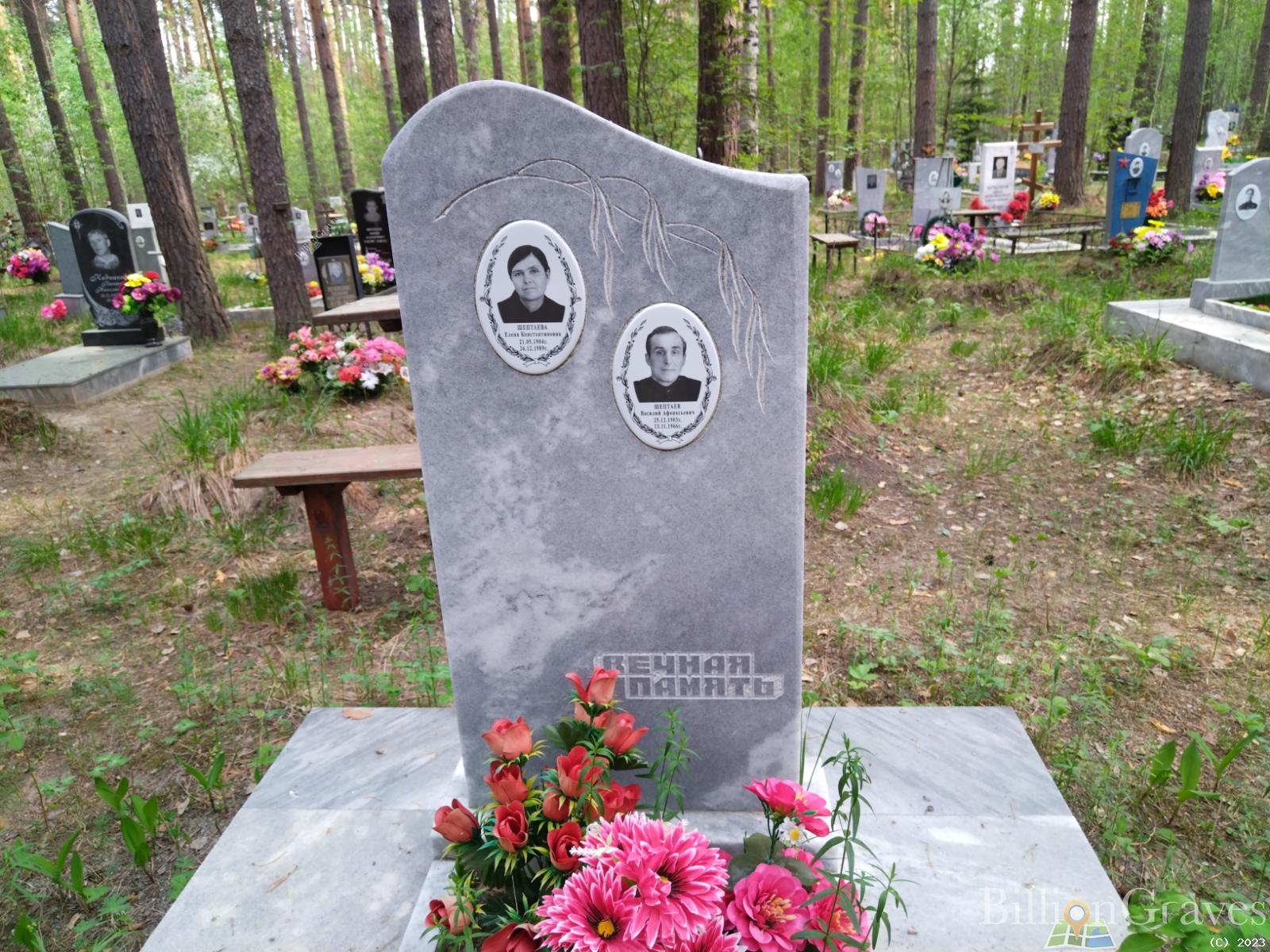 Шептаева Елена Константиновна