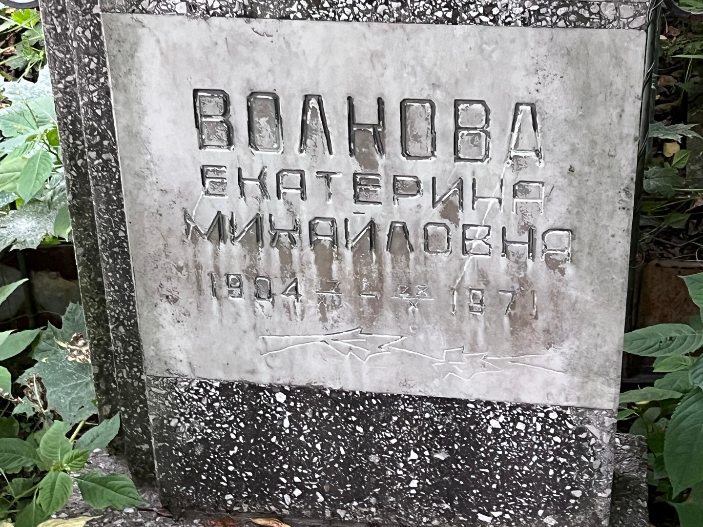 Волнова