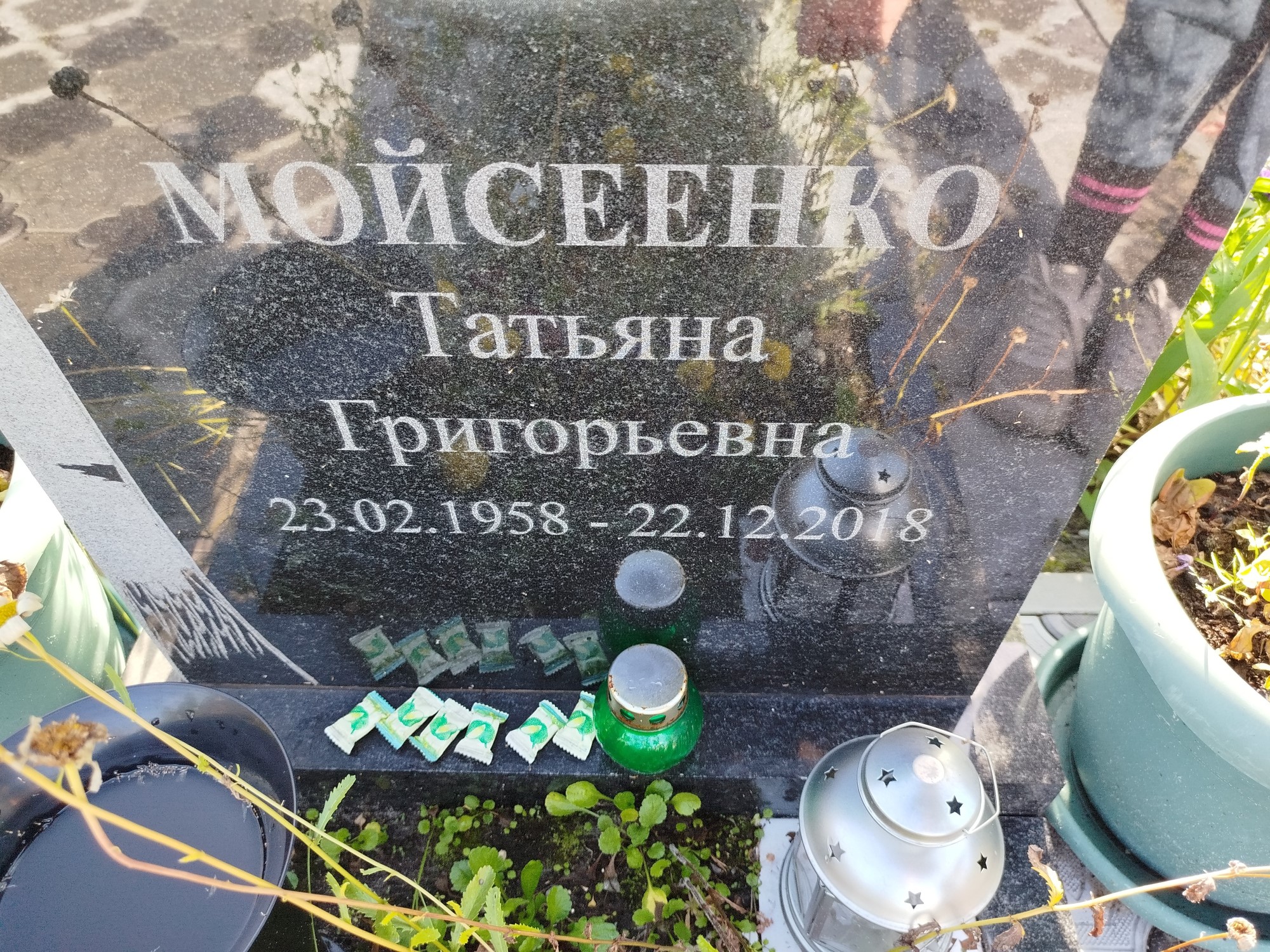 Мойсеенко Татьяна Григорьевна