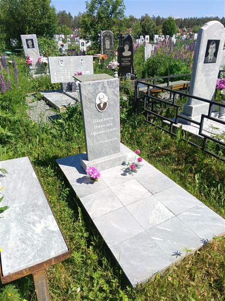 Шарапов Николай Афанасьевич