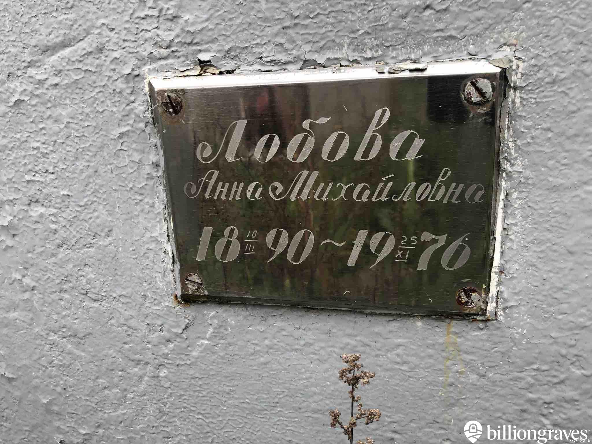 Лобова Анна Михайловна