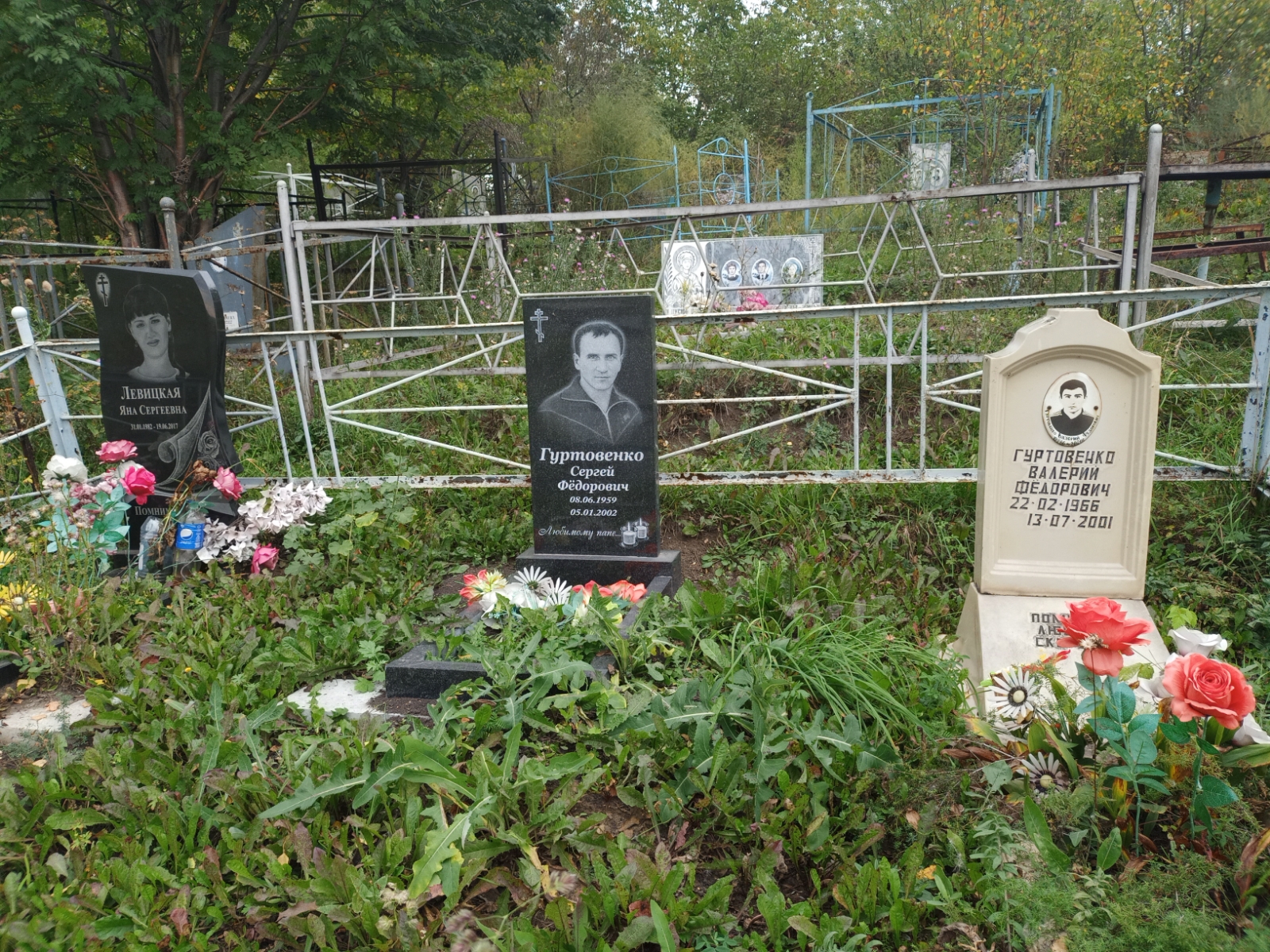 Левицкая Яна Сергеевна