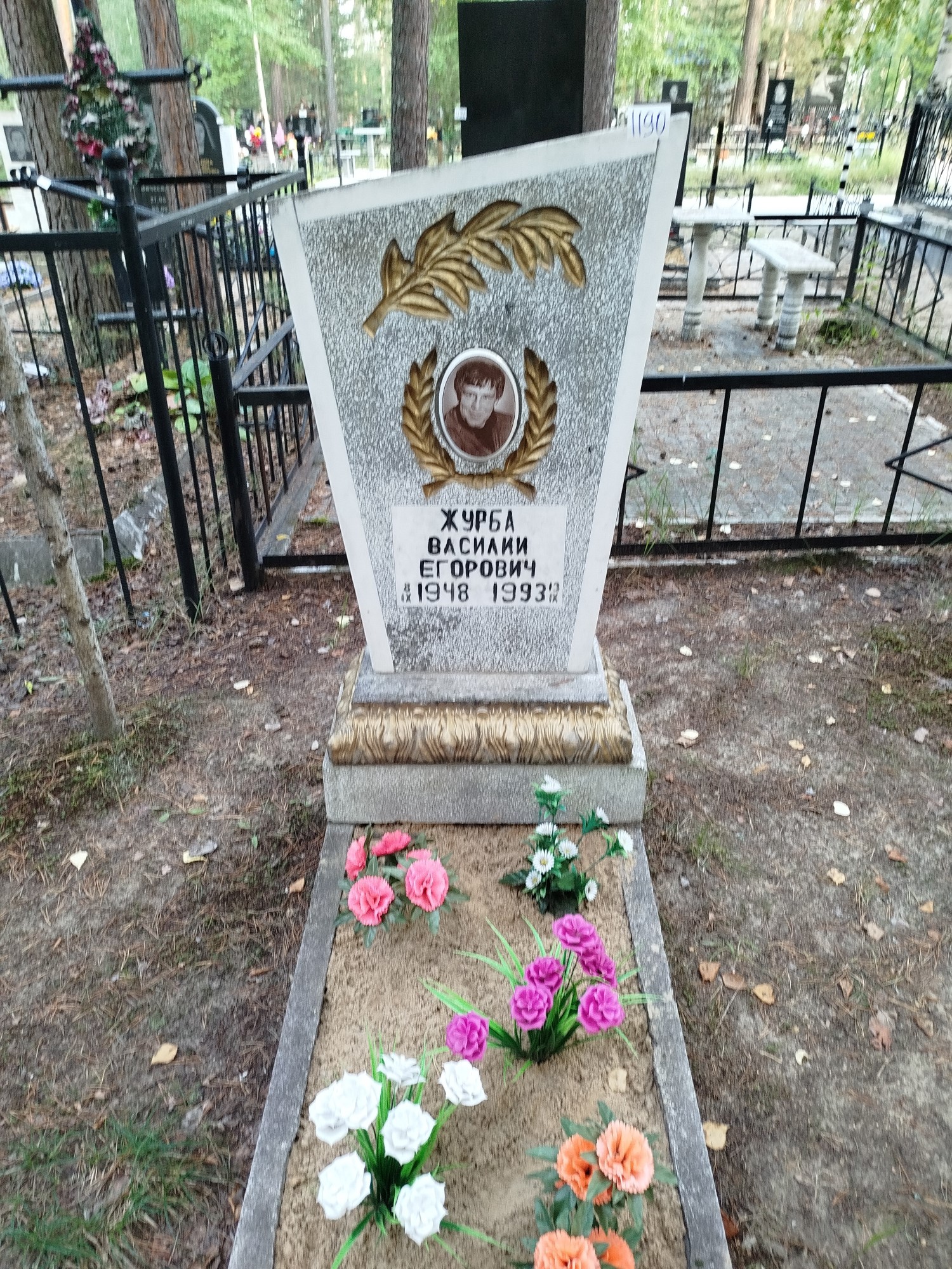 Журба Василий Егорович