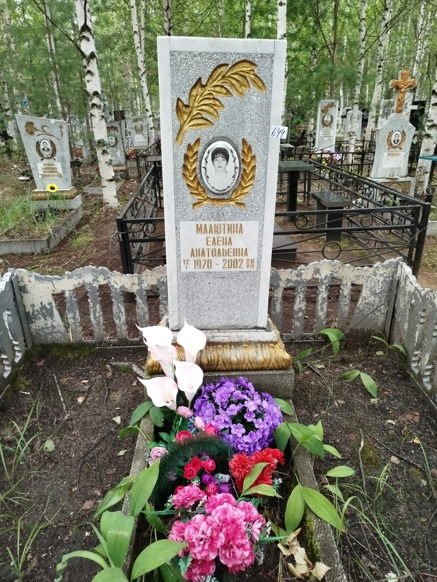 Малютина Елена Анатольевна