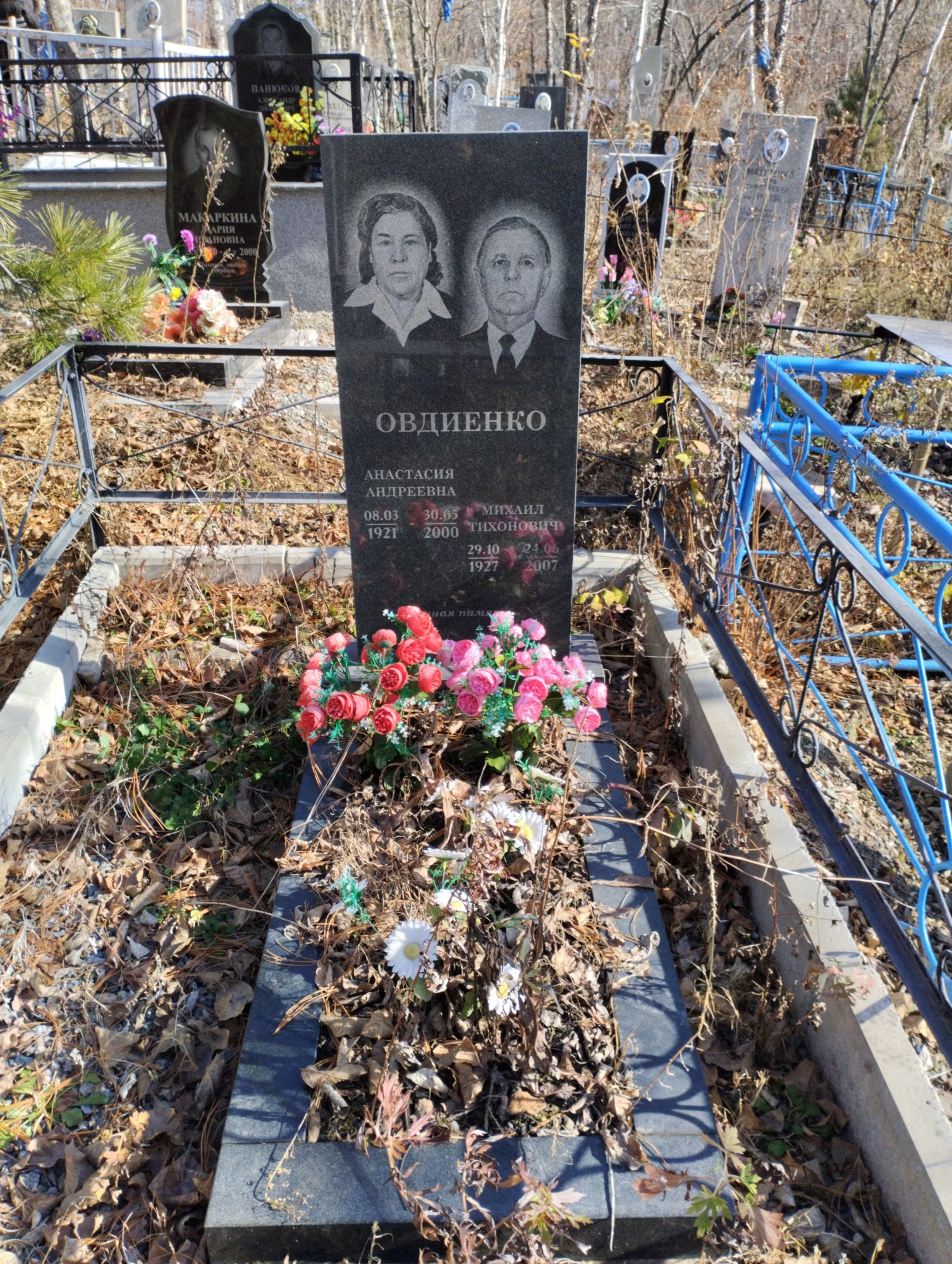 Овдиенко Анастасия Андреевна