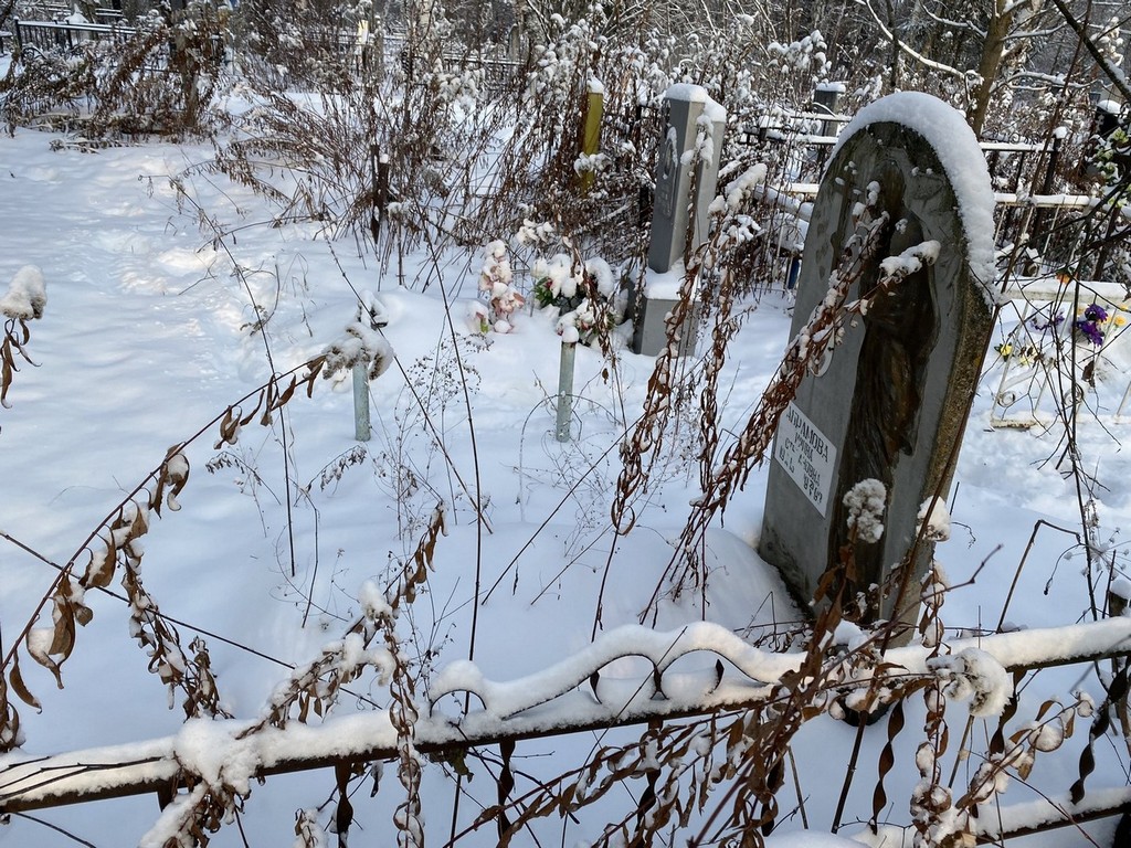 Абрамова Ирина Степановна