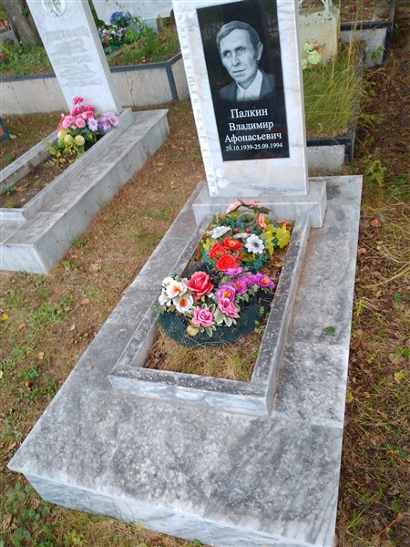 Палкин Владимир Афанасьевич