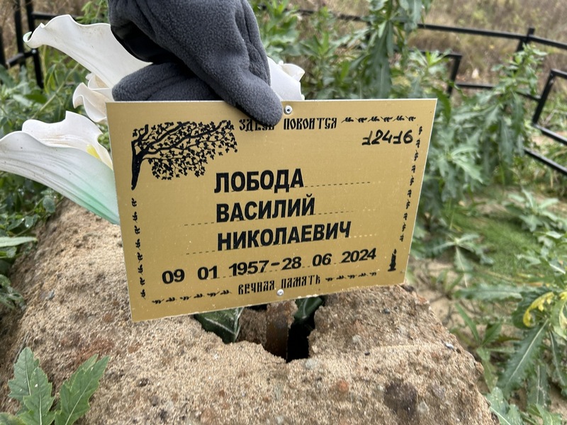 Лобода