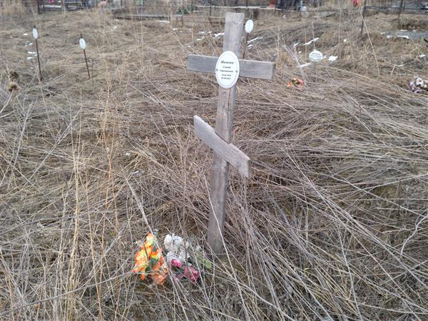 Мозолев Славий Степанович