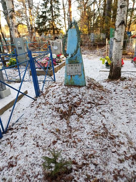 Шитов Н. А.