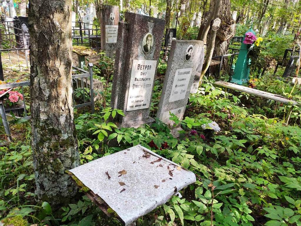 Ветров Олег Валерьевич