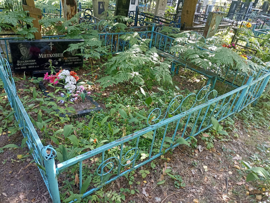 Митковец Любовь Васильевна
