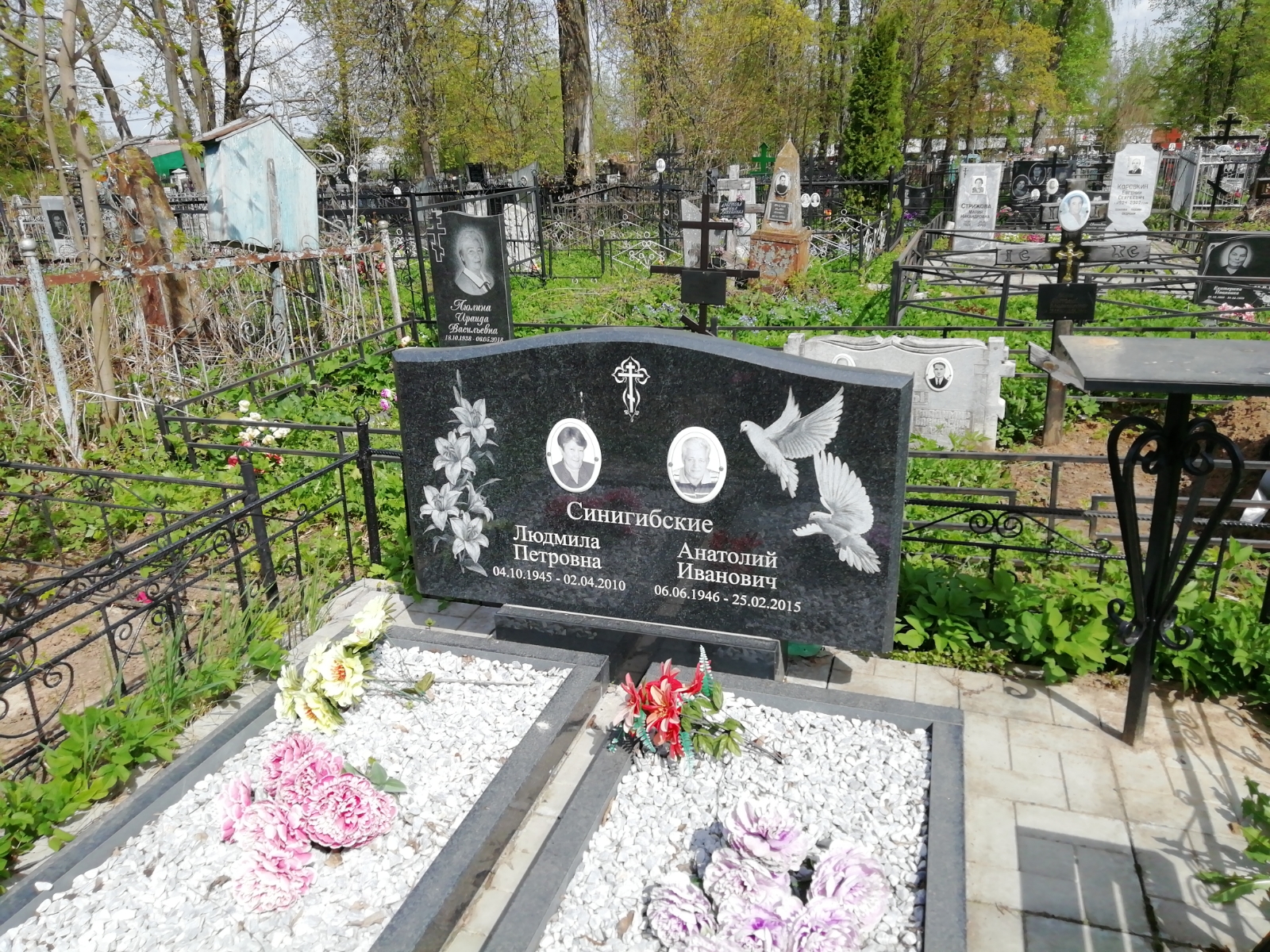 Синигибский Анатолий Иванович