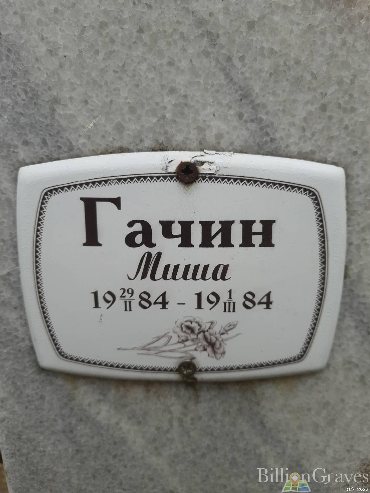 Гачин Михаил