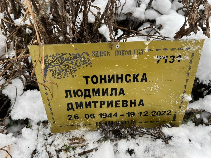 Тонинская