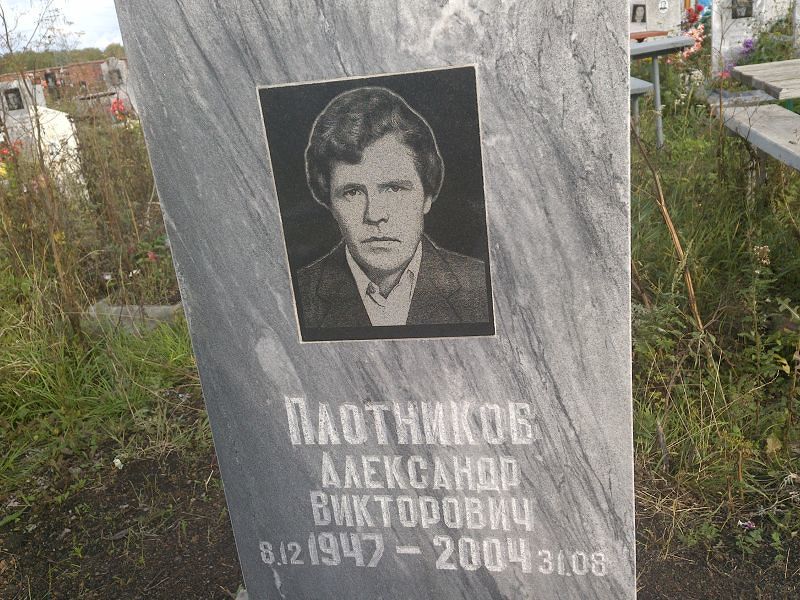 Плотников