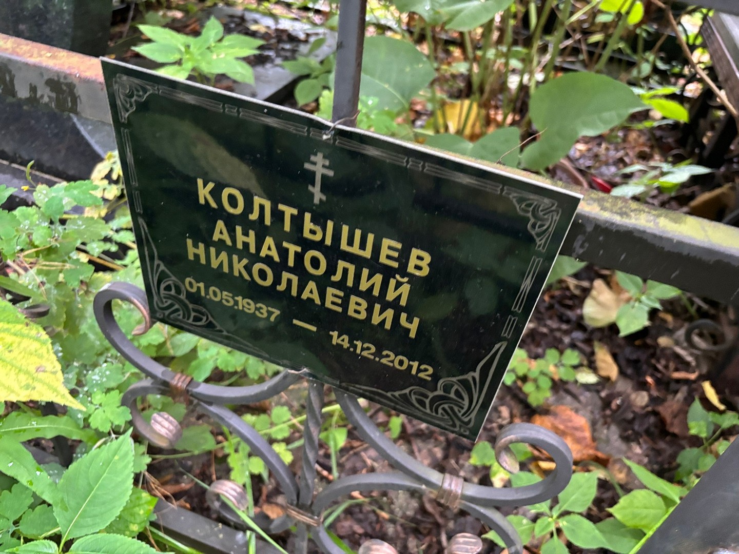 Колтышев