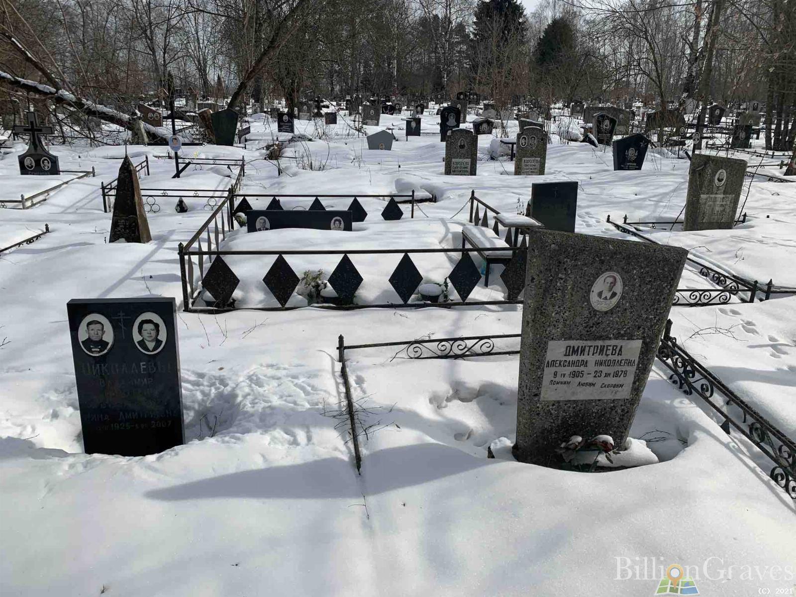 Дмитриева Александра Николаевна