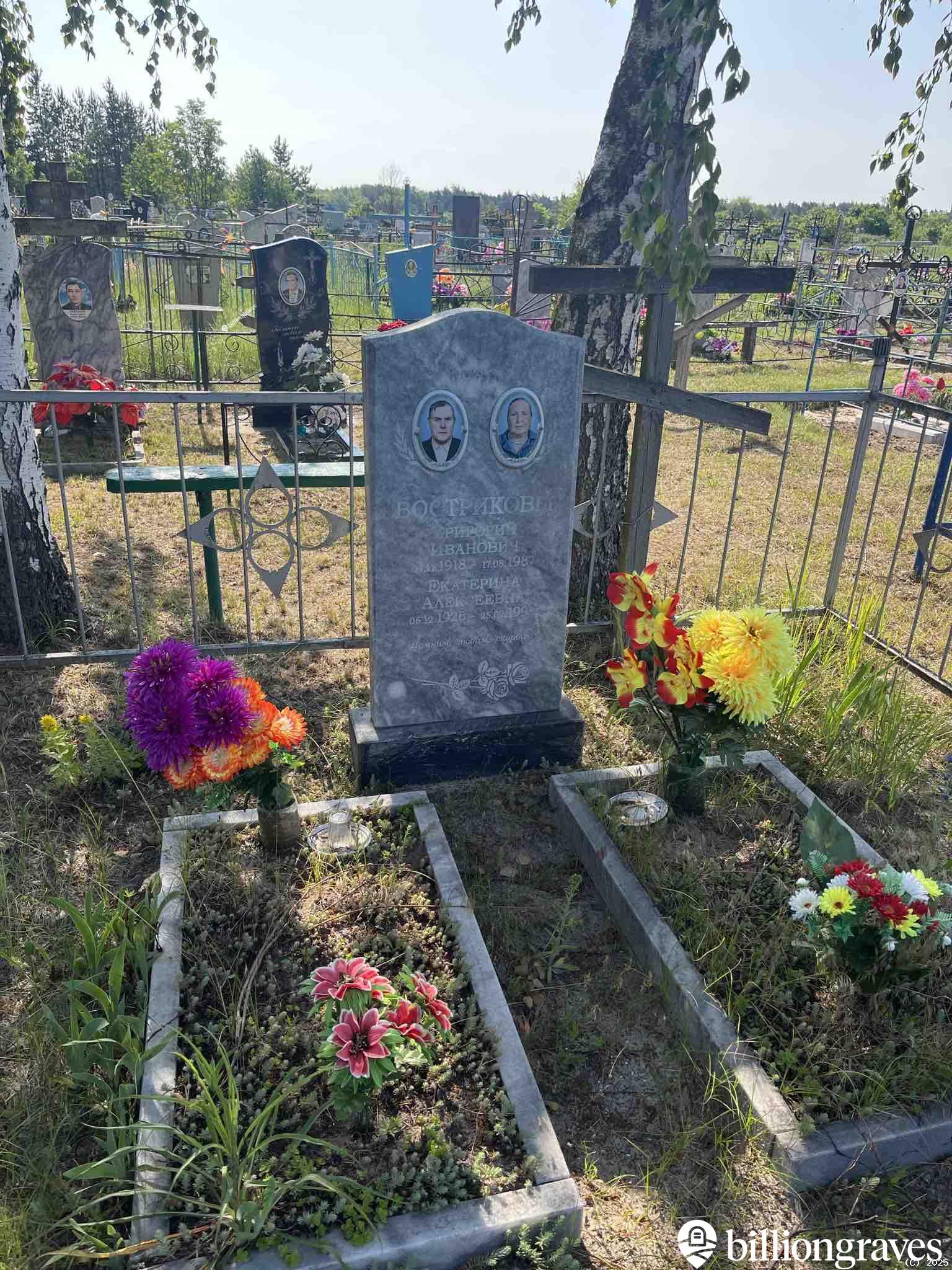 Вострикова Екатерина Алексеевна