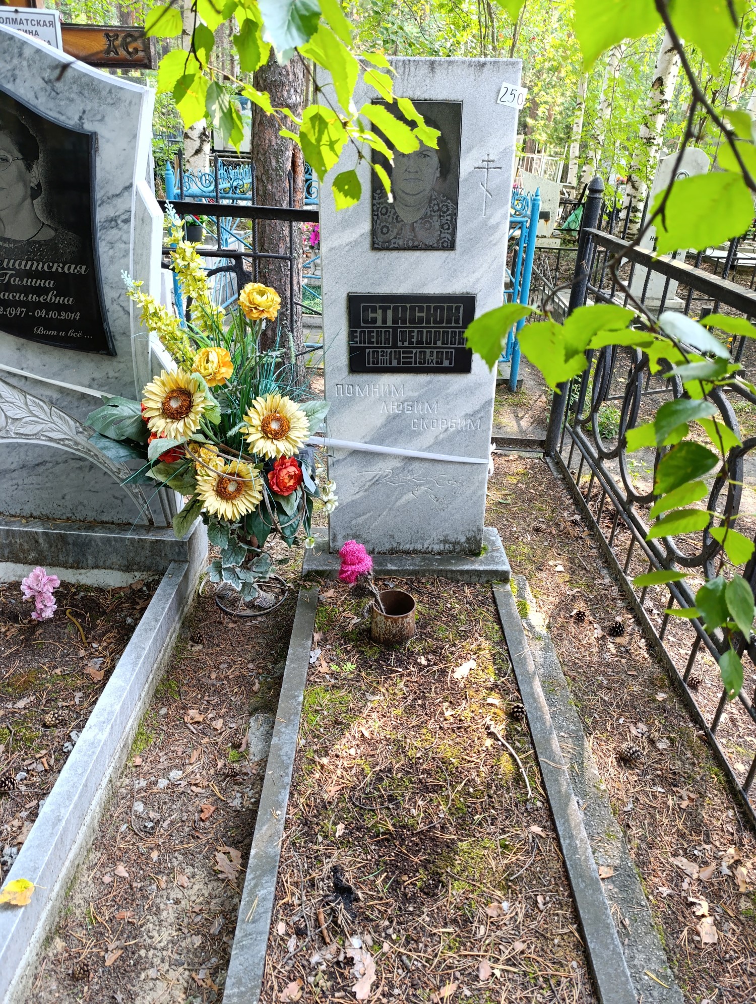 Стасюк Елена Федоровна