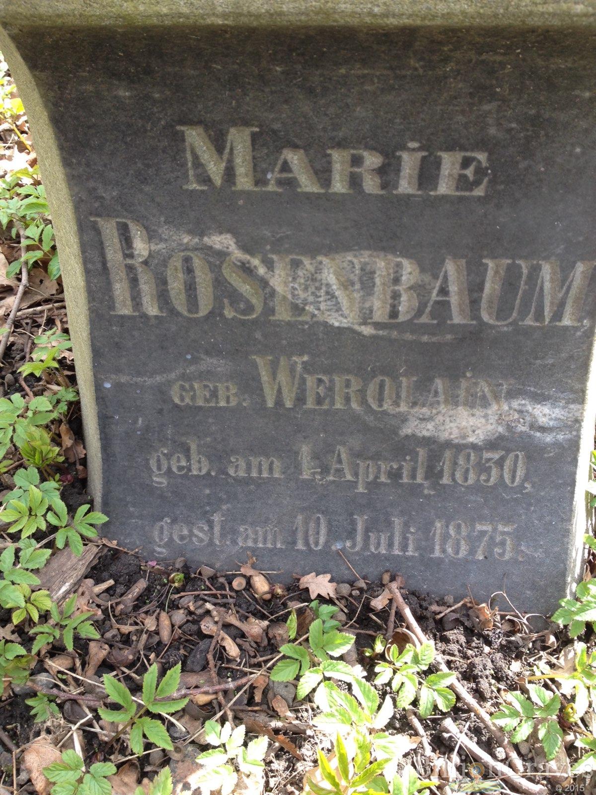 Rosenbaum Marie