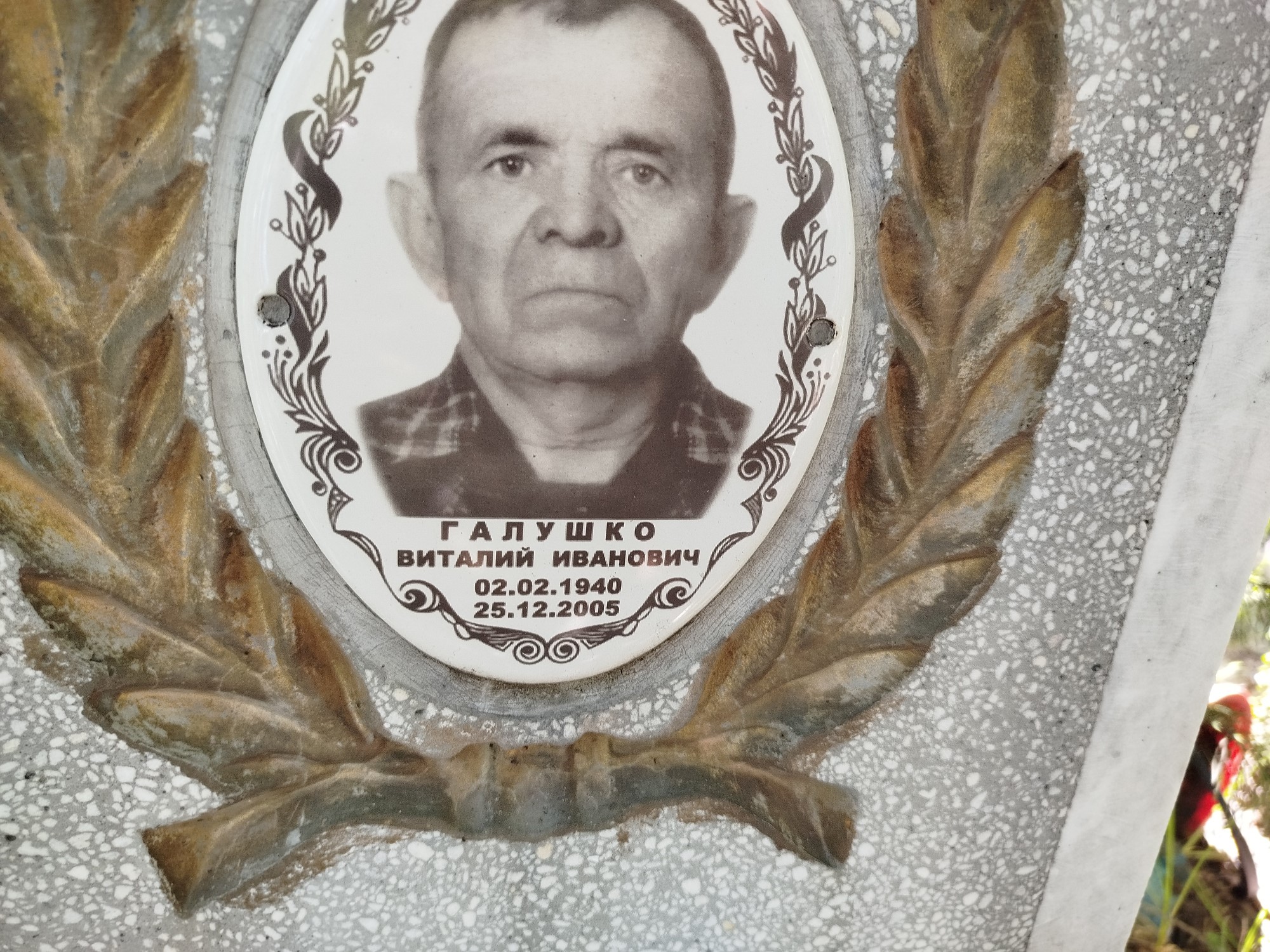 Галушко Виталий Иванович