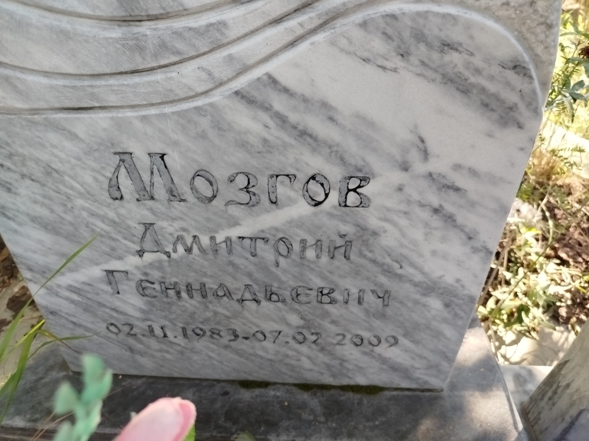 Мозгов Дмитрий Геннадьевич
