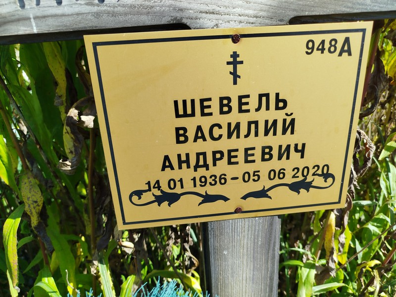 Шевель