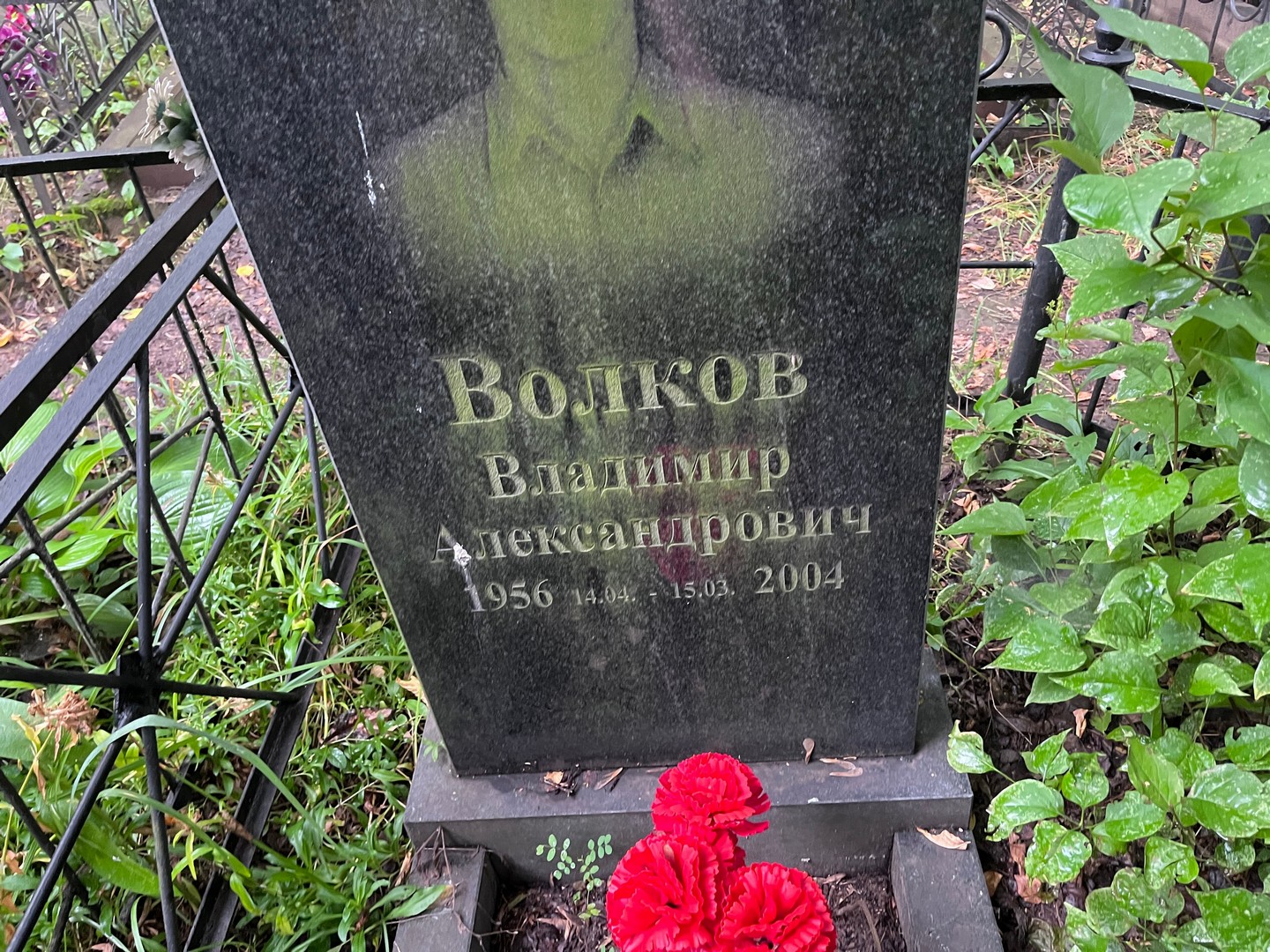 Волков