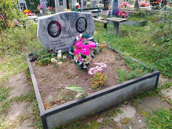 Мезянкина Анна Николаевна